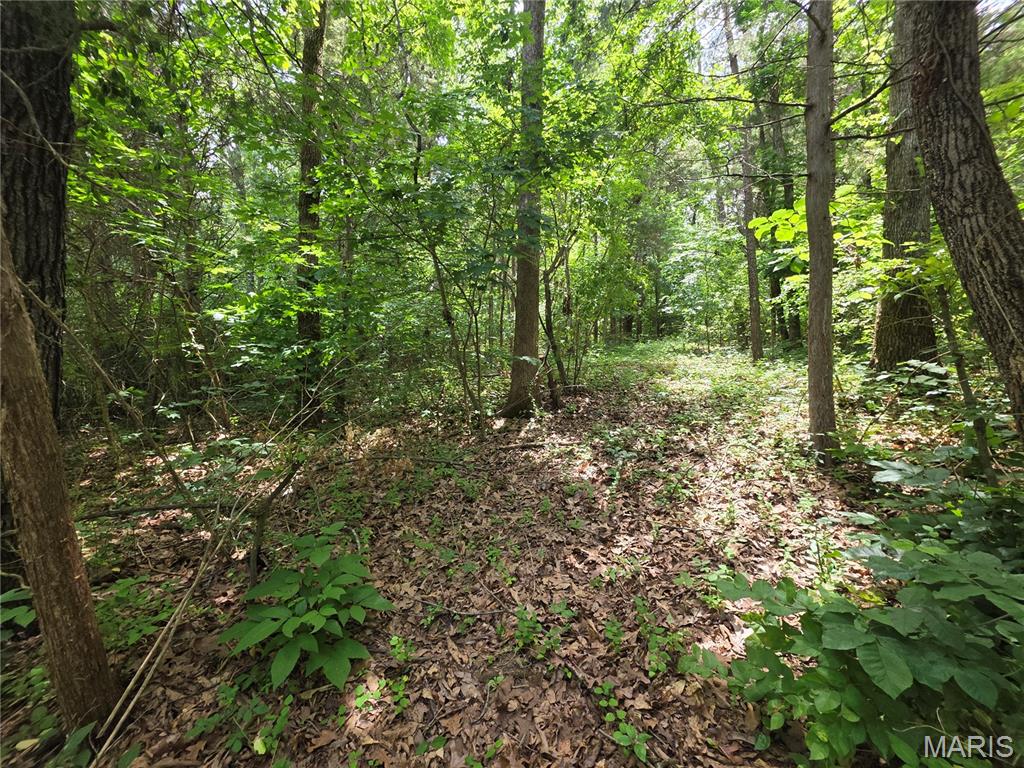 Own Your Piece of Paradise: Half-Acre+ Lot in Gated Lake Tishomingo!

?Escape to the peace and privacy of Lake Tishomingo with this beautiful, scenic lot spanning just over a half-acre. Nestled in the rolling hills of Hillsboro, this property offers an incredible opportunity to own land in one of the area's premier private lake communities.

?Perfect for anyone looking to secure an affordable piece of a secure, gated neighborhood, this wooded parcel gives you direct access to everything Lake Tishomingo has to offer. Enjoy your days on the private, spring fed lake ideal for boating, fishing, swimming, and community events, all while being a short drive from the conveniences of the St. Louis metro area.

?Whether you are looking to expand your real estate portfolio or simply want to secure private lake rights and a quiet place to escape the city hustle, this half-acre lot is a fantastic find.

?

?