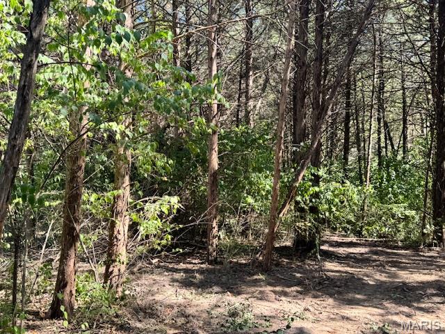 New Price!  Build your dream home on this stunning cul-de-sac lot offering the perfect blend of privacy, tranquility, and convenience. Tucked away in a quiet, peaceful setting surrounded by mature trees and natural beauty, this property provides a true sense of retreat — yet remains just minutes from top-rated schools, shopping, dining, and interstate access for an easy commute.
Enjoy all the benefits of modern living with high-speed fiber internet and full utilities already available — including public water, sewer, electricity, and natural gas. Asphalted roads ensure smooth, year-round access, while the cul-de-sac location means minimal traffic and enhanced privacy.
This exceptional lot is the ideal canvas for your forever home or a smart investment property — combining peaceful surroundings with unbeatable proximity to everything you need.
Don’t miss this rare opportunity — come experience the perfect setting for your next chapter!