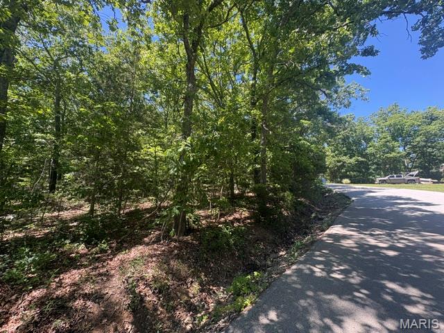 Build Your Dream Getaway Near Autumn Lake in Raintree Plantation! 

Location, Location, Location! Conveniently situated just 1/2 mile from the front gate and approximately 1/2 mile from the beach, park and pavillion are. This spacious approximately 1/3-acre lot offers the perfect blend of accessibility, recreation, and future potential.

Whether you're ready to build your dream home now or simply want to secure an affordable piece of Raintree and enjoy its outstanding amenities, this property provides exceptional value in one of the community's most desirable locations.

Live like you're on vacation every day with resort-style amenities, including:

4 private lakes for boating, fishing, kayaking, and relaxation
Beaches, swimming areas, and beautiful lake views
Golf course, country club, and on-site restaurant
Hiking and biking trails, campgrounds, and sand volleyball courts
Golf cart-friendly streets for easy neighborhood living

Ownership includes access to the Country Club for just $271/year and full community amenities for only $299/year.

All of this is located just 35 minutes from South County (63128), making it the perfect weekend retreat or future full-time residence.

Be sure to view all photos and discover the incredible lifestyle that Raintree Plantation offers. As a resident myself, I can honestly say:

"It's an amazing place to live, play, relax, and make lifelong memories. Come join us!"