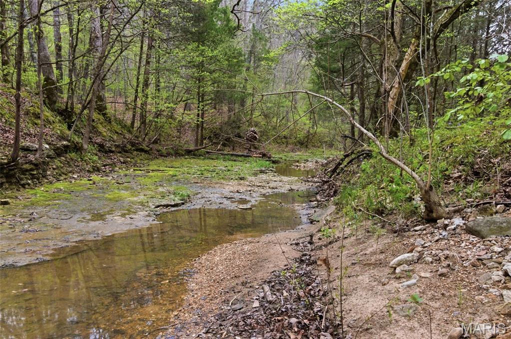 375 Acres m/l - A Once-in-a-Lifetime Ozark Property Rare opportunity to own 375 acres m/l of prime recreational land in the Missouri Ozarks, offering an incredible mix of hunting land, timberland, and investment property. This one-of-a-kind tract features at least 5 caves, 3 natural springs, and year-round Anderson Creek running through the center, providing abundant water sources and creating ideal conditions for wildlife habitat, whitetail deer hunting, and turkey hunting. The property boasts mature, marketable timber that has not been logged in well over 40 years, making it attractive for both timber investment and long-term land value appreciation. A newly constructed access road runs from the front of the property to the back, offering excellent usability for ATV riding, hunting access, and future development potential. An existing cabin provides the perfect setup for a hunting retreat, off-grid cabin, or recreational getaway. Located just 3 miles from the Big Piney River and Mark Twain National Forest, and less than 30 minutes from Current River, this property offers quick access to some of the best floating, fishing, hiking, and public land recreation the Ozarks have to offer. Sellers are willing to consider splitting the property into two parcels, creating added flexibility for buyers, investors, or those seeking a large private estate. This property checks every box for Missouri land for sale with water, hunting property, recreational acreage, Ozarks land with creek and springs, and land near Big Piney River, Mark Twain National Forest and Current River
