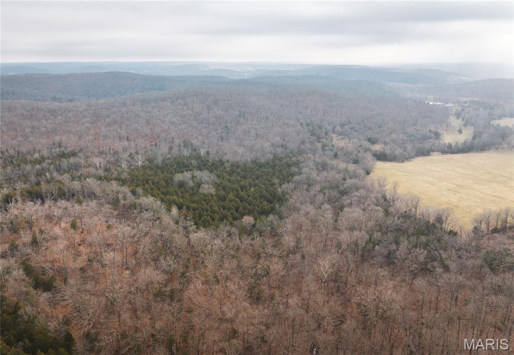 Tucked away in a clean, quiet, and peaceful setting, this recreational gem is a true deer and turkey paradise just north of Onondaga Cave State Park and just south of Blue Springs Creek Conservation Area. The location offers outstanding access to thousands of acres of public land and prime wildlife habitat. The property features mature timber along with a beautiful cedar glade that provides excellent cover for big bucks and ideal roosting and travel areas for turkey. Wildlife sign is abundant, making this a fantastic hunting or recreational tract. Conveniently located only 20 minutes from Bourbon, Missouri, and Highway AA, and just over an hour from St. Louis. The Meramec River and Huzzah River are both nearby, offering floating, fishing, and outdoor adventure options. Access is secured by a legal deeded easement, and electric is close by, adding future cabin or camp potential. If you’re looking for a peaceful, secluded property in a highly desirable outdoor recreation area, this one checks all the boxes.