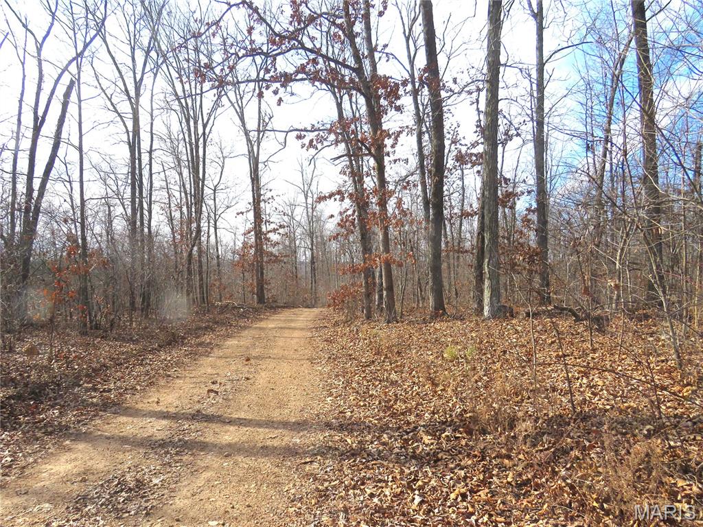 520 acres m/l of vacant land situated in an area of prime hunting. Located near Black River and Clearwater Lake and many other attractions Southeast Missouri has to offer. No restrictions and direct access to property. The possibilities with this vast acreage are endless! There is also a purchasing option of any combination of the two -160 acre tracts or 200 acre tract.