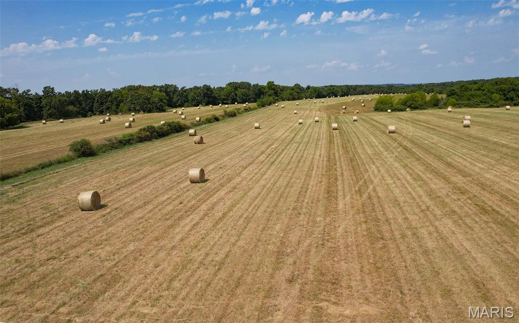 N/A - Farm