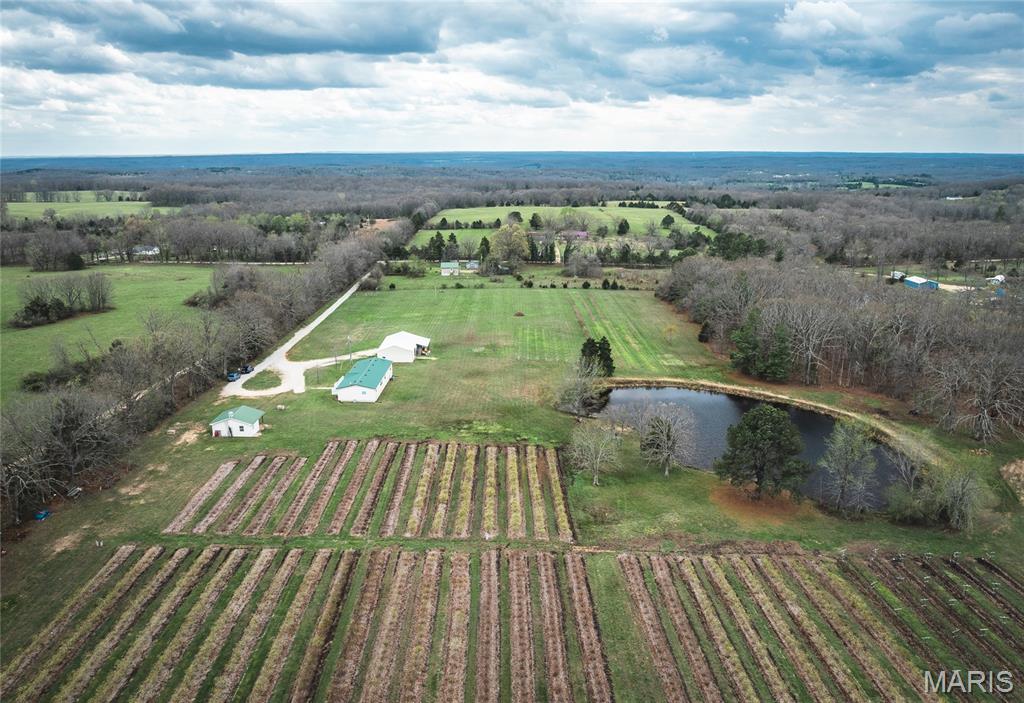 Crawford County Missouri Farm for Sale | 14.7± Acres with Home, Berry Operation & Agritourism Income Potential
This unique 14.7± acre farm and agribusiness opportunity in Crawford County, Missouri. The property features an established you-pick berry operation with approximately 1,800 blueberry plants and 1,300 row feet of thornless blackberries, along with a scenic mix of wooded and open ground filled with wildflowers. Improvements include a 1,887± sq ft 3-bedroom manufactured home overlooking a pond, a 30' x 60' pole barn, and a 24' x 12' building that houses the fully automated irrigation system supported by a deep 280 ft well.
This property also offers strong agritourism and lifestyle appeal, with a loyal customer base already familiar with the farm and room for a new owner to grow its community presence. The peaceful setting includes abundant wildlife, open fields, wooded areas, and a pond with bass, making it both productive and enjoyable. With established infrastructure, natural beauty, and expansion potential, this Crawford County farm is a rare opportunity for both lifestyle and investment-minded buyers.
Property Highlights;
Approx. 1,800 blueberry plants
Approx. 1,300 row feet of thornless blackberries
1,887± sq ft manufactured home overlooking a pond
30' x 60' pole barn / maintenance shed
Approx. 24' x 12' office/retail building with irrigation controls
Fully automated irrigation system with 280 ft deep well
Comprehensive equipment and operational setup included
Loyal customer base with strong agritourism potential
Abundant wildlife and peaceful Ozark setting
Opportunity for expansion and continued community presence