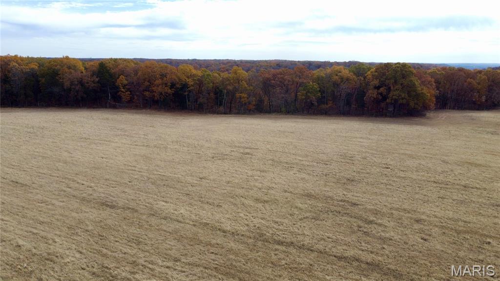 Polston Farms - Farm