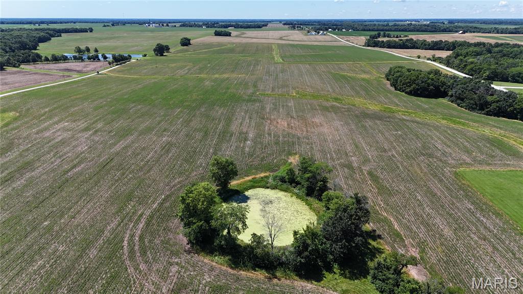 No - Farm