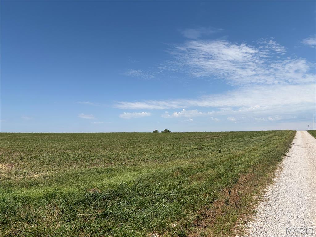 No - Farm