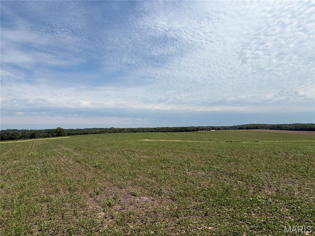 No - Farm