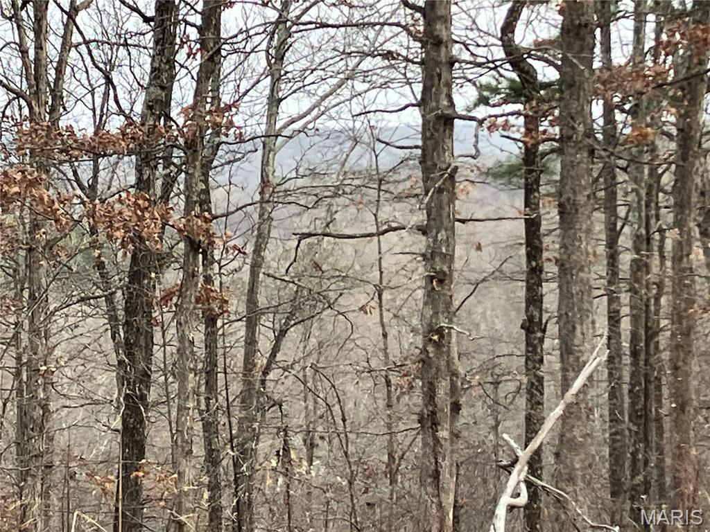 This great five acre Ozark hideaway includes deeded access to a nearby shared spring-fed stream, and sits within about a mile of Mark Twain National Forest. 
The wooded property comes with NO restrictions, and has an unimproved access road around three sides. And there's a nice deeded easement road leading from the county road to the property.
Hunt, camp, build, ride ATVs on your own land, or fish or play in the shared creek section ... endless opportunities.
This property is wooded and rolling. You are within a mile of the 22,176-acre Mark Twain National Forest ... public ground where you can also hunt, ride and explore. All this, and only about 2 miles by road from U.S. 67.
Use this wooded, secluded property as a base camp for adventure. This and surrounding land is teeming with deer, turkey and small game, and the occasional feral hog or maybe a black bear.
There is additional acres available which adjoin this piece if interested.
