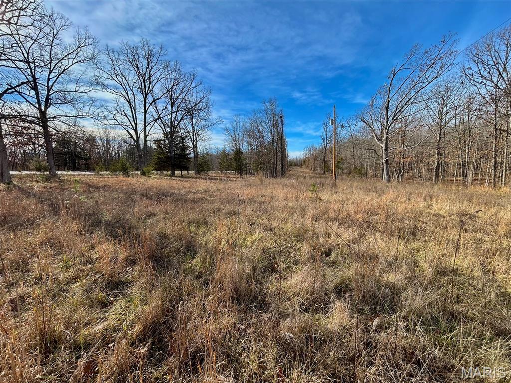Call to schedule your private showing today. This 40 +/- acre tract is conveniently located less than 10 minutes from the Salem city limits. 10 minutes from Meramec River and 13,503 Acres of public hunting at Indian Trail Conservation Area. 30 Minutes from Montauk State Park and Current River. There is electric and a well on the property. Multiple locations to build your future home. Many locations to add a food plot to attract abundant wildlife. There is a wet weather creek that rolls through the center of the property. Old fire pit from a previous camp site. Trails through the woods leading around the property. Ready for its new owner. Call for more info!