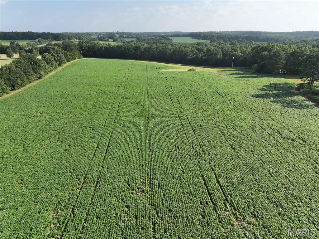 NEW LISTING! This beautiful 67.94± acre farm in Bollinger County, Missouri, offers an exceptional opportunity to own a well-maintained property with the perfect blend of income-producing farmland, mature timber, recreation, and an outstanding homesite. Conveniently located just off Highway O and recently surveyed, this farm is ready for its next owner.

As you enter the property, you'll find a picturesque pond surrounded by mature pine trees, creating a peaceful setting that's ideal for building your dream home or weekend getaway. Electric is available, making this beautiful location even more appealing.

The farm features approximately 19± acres of productive tillable ground that is currently cash rented by a local farmer, providing immediate income potential. A network of trails winds through the mature timber to an additional tillable field, making the property easily accessible while showcasing its natural beauty.

Known for its abundant populations of whitetail deer and wild turkey, this farm offers outstanding hunting opportunities. The gently rolling terrain provides a beautiful mix of timber, open ground, and scenic views, making it equally suited for recreation, farming, or a private country retreat.

Properties of this caliber are becoming increasingly hard to find in the area. Whether you're looking to build, invest, hunt, or enjoy the peaceful countryside, this remarkable farm offers endless possibilities.
