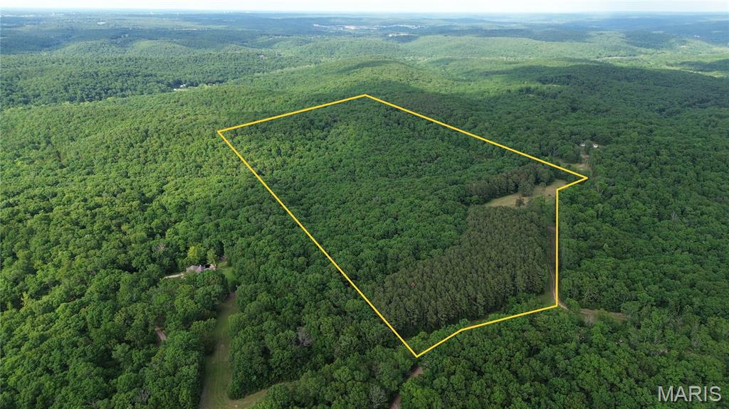 Tucked away on a quiet gravel road in the heart of Crawford County, this breathtaking 78.44± acre tract offers the kind of beauty and privacy that’s becoming increasingly difficult to find. Towering pines and mature hardwoods stretch across rolling Ozark terrain, creating a peaceful, park-like setting with endless opportunities to build, explore, hunt, and enjoy the outdoors.

The property features multiple incredible building sites with excellent privacy and gently rolling topography ideal for a dream home, hunting cabin, or family retreat. Seasonal waterfalls and wet-weather creeks wind through portions of the property during rains, adding to the natural beauty and character of the land. A great open pasture also provides an outstanding location to establish food plots, trail systems, campsites, or recreational area.

The timber is open and easy to walk, making it simple to envision future improvements while still maintaining the secluded feel buyers are searching for. Wildlife sign is abundant throughout the property, offering strong deer and turkey hunting potential.

Located near Bourbon and Leasburg with convenient access to Interstate 44, this property delivers the perfect combination of accessibility and seclusion. Whether you’re looking for a recreational getaway, hunting property, private homestead, or long-term investment, the possibilities here are truly endless. The owners are also open to dividing the property, creating additional opportunities for buyers seeking smaller acreage options.