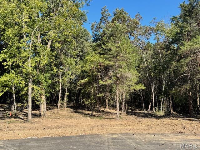 New Price on this beautiful building lot offers a peaceful, private setting on a quiet cul-de-sac road. Surrounded by mature trees and gentle natural scenery, it’s an ideal spot for those who value quiet living with the convenience of nearby amenities.
All utilities are already in place — including high-speed fiber internet, public water, sewer, electricity, and natural gas — so you can focus on building the home you’ve been dreaming of. The asphalted roads make access easy year-round, and the cul-de-sac location provides extra privacy and safety, with very little traffic.  Located just minutes from schools, shopping, and the interstate, this property offers the best of both worlds: a calm, secluded environment that’s still close to everything you need for daily living.