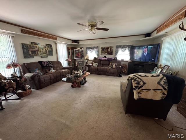 Elfrink Ln. - Residential