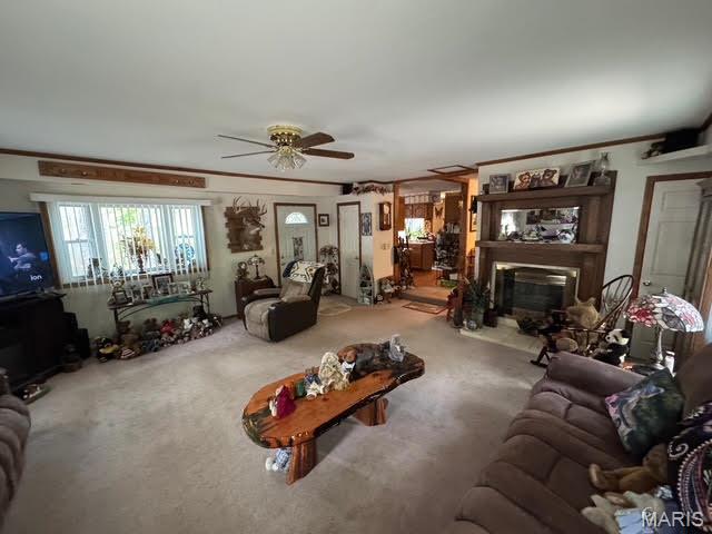 Elfrink Ln. - Residential