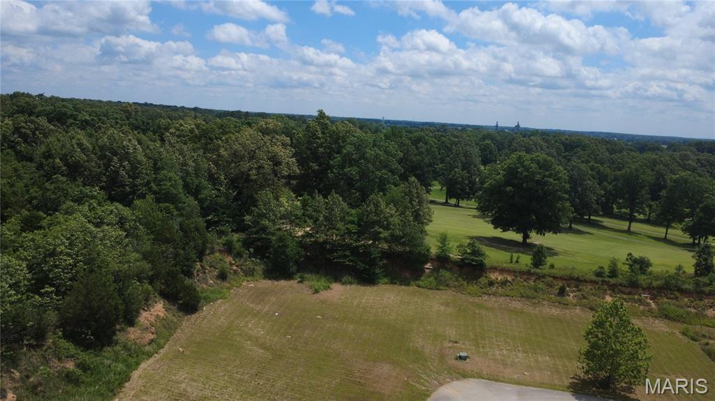 Excellent development opportunity in the desirable Fairway Estates subdivision! This offering includes 6 residential building lots located on Palm Tree Drive totaling 2.11 acres M/L bordering the scenic Ozark Ridge Golf Course. Enjoy beautiful golf course views and a peaceful setting while remaining conveniently located near local amenities. Public water is available and can be extended to the lots at buyers expense. Whether you're a builder, developer, or investor, these ready-to-develop lots provide an outstanding opportunity for new residential construction in an established neighborhood.