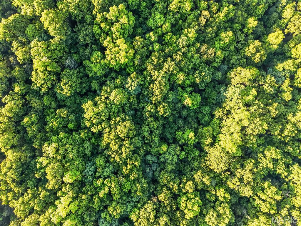 None - parcel 4 - Land