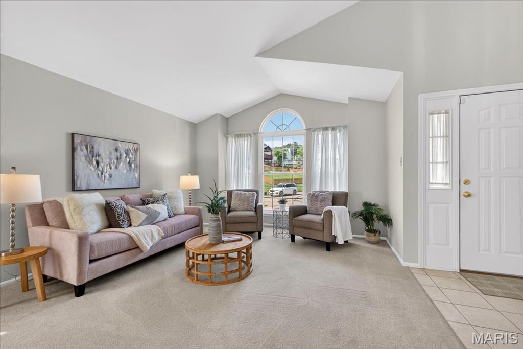 Cove At Lake Chesterfield The - Residential