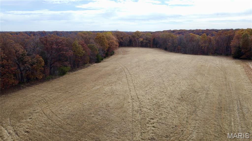 Polston Farms - Farm