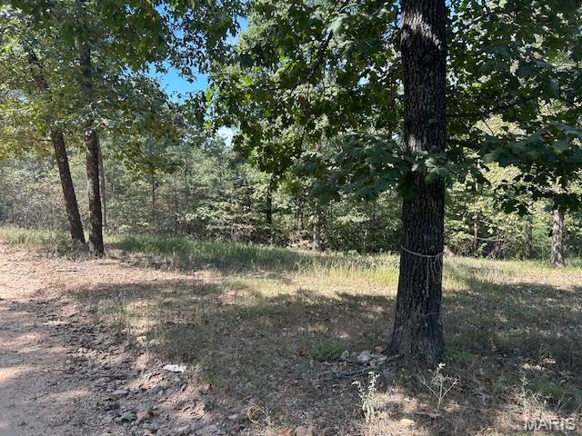 Welcome to Hidden Valley Lakes just 10 miles to Black River. Enjoy using 7 lakes for Fishing or Kayaking. Many miles of ATV trails. Tiny homes and Mobiles OK. Perfect place to park your camper and enjoy the Black River for weekends.