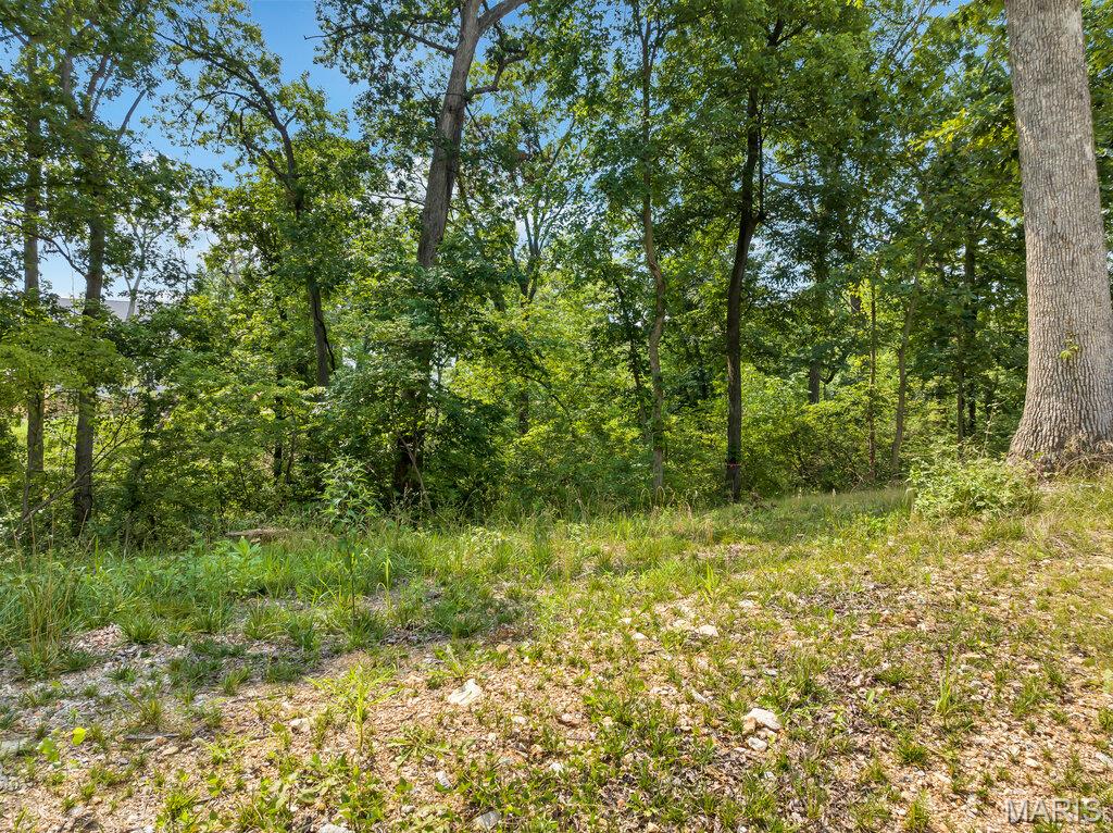 An exceptional opportunity to build a custom luxury residence on one of the few remaining lots in the desirable Missouri Bluffs subdivision.  The property is ideally suited for a walk-out basement and offers a scenic setting surrounded by some newer homes and backing to woods. Missouri Bluffs Golf Club is just around the corner, with easy access to the Kate Trail and the Busch Greenway for miles and miles of walking, jogging or biking.  Enjoy the convenience of being only five minutes from Chesterfield shopping, dining and amenities while nearby Defiance and Augusta wineries provide a refined weekend escape.  Bring your own builder and architectural vision, or the seller can provide custom home plans upon request.  A topographical map, boundary map and tree survey are available to assist in the design and build process.