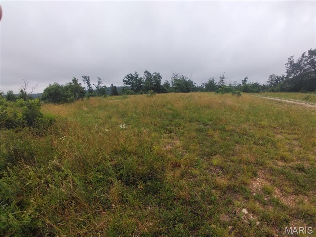 18.21+/- surveyed acres located in Belleview, Missouri. This property offers a peaceful rural setting with plenty of room to build, hunt, camp, or simply enjoy nature. Conveniently located near Elephant Rocks, Johnson's Shut-Ins, Shepherd Mountain Bike Park, and the Black River. A great opportunity to own your own slice of the Ozarks!