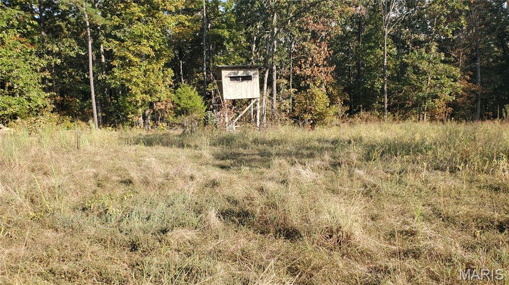 Call to schedule your private showing today! Gravel easement access but still secluded. This 80-acre parcel offers a mix of plentiful White, red oak, and other hardwoods with some black walnuts mixed in. Multiple build site locations. Some marketable timber. Timber Appraisal Summary and Topography maps available upon request. Excellent cover for often seen deer and turkey. Multiple locations to add a food plot to help draw in the wildlife. It is conveniently located between Salem, Rolla & Licking. Within an hour of Ft. Leonard Wood, Current River, Jack’s fork, Piney River, Meramec River, Montauk State Park & Boiling Springs. Do not hesitate to call and view this 80 Acres. Trails throughout with 2 wet-weather creeks running through and one with an active spring. A hard-to-find timber property that hasn't been harvested in some way and left unusable or enjoyable. Thousands of acres of Mark Twain Forest close by. Hunting and fishing at its best. Bring your guns and fishing gear and you are ready to enjoy it all. This won't last long at this price, Make an appointment to view this special property, enjoy exploring the wonders of it all.  Check out the springs, rock formations, and bluffs.