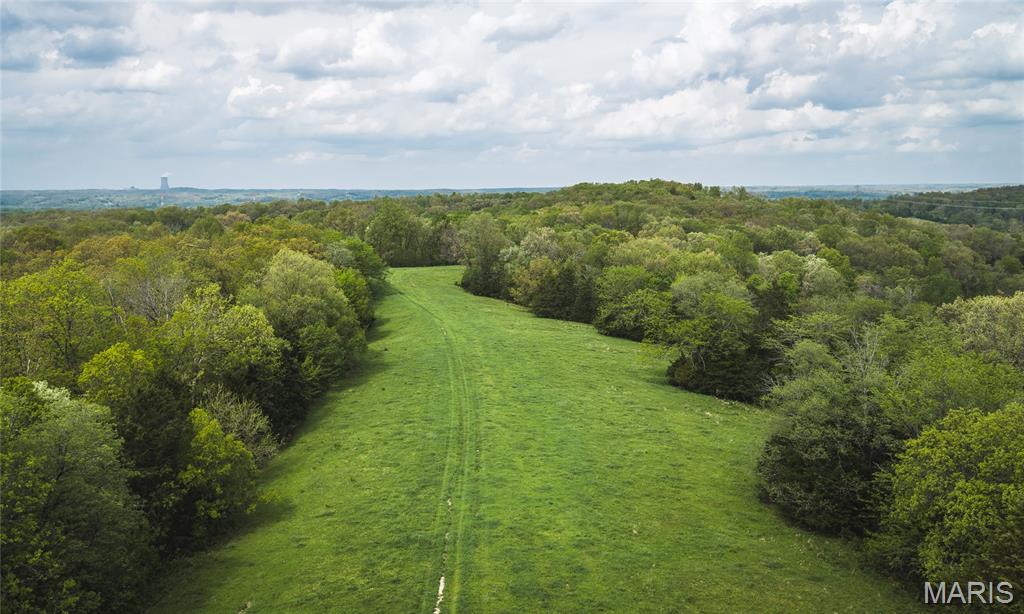 62 Surveyed Acres | Premier Hunting & Recreational Farm in Osage County, Missouri
Nestled in the heart of Osage County near Chamois, Missouri, this exceptional 62-acre surveyed tract offers a rare combination of privacy, recreation, and proven hunting success. Renowned for producing trophy-caliber whitetails year after year, this premier Central Missouri hunting farm possesses all the characteristics serious outdoorsmen seek.
The property features fertile creek-bottom soils, providing excellent opportunities for destination food plots and wildlife habitat enhancement. A centrally located creek serves as a dependable water source for wildlife while adding to the property's overall beauty and functionality.
The rolling hardwood timbered hillsides are thick, secluded, and ideally suited for mature buck bedding. This diverse habitat creates excellent security cover and contributes to the property's long-standing reputation for outstanding deer and turkey hunting.
Tucked away in a quiet, private setting, the farm offers an ideal location for a hunting cabin, weekend retreat, or future country getaway. Whether you're searching for a premier hunting property, recreational escape, or long-term land investment, this Osage County farm delivers exceptional habitat, productive ground, and a proven history of hunting success.