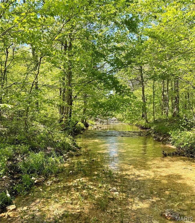 Rare 23+/- Unrestricted Acres with Flat Creek Frontage!
Discover the ultimate canvas for your outdoor dreams in beautiful Washington County. Perfectly situated between Potosi and historic Caledonia, this breathtaking 23+/- acre parcel offers the total freedom of no restrictions. This isn't just raw land; it’s a water-rich oasis featuring approximately 1000’ of spring-fed Flat Creek. The creek is clear, gentle, and perfect for family recreation. The property comes ready for adventure or development with an established trail system winding through the acreage—ideal for UTVs or hiking. Adventure is at your doorstep with Elephant Rocks State Park, Johnson’s Shut-Ins, and the Mark Twain National Forest all just a short drive away. Whether you're looking for a premier hunting tract, a weekend getaway, or a permanent residence with live water, this property delivers. Looking for even more room? Additional acreage is available! Schedule your tour today and experience this Ozark gem in person.