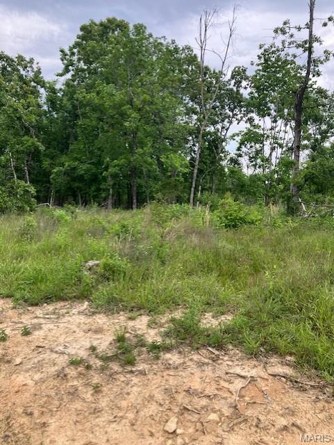On the top of the ridge, a good amount of flat area, and a nice deeded gravel road access.
This 14+ acre ridgetop oasis comes with NO restrictions, and can be had for less than the price of a new truck or SUV. 
Hunt, camp, build, ride ATVs on your own land, or fish or play in the shared creek section ... endless opportunities.
This property is wooded and rolling. You are within a mile of the 22,176-acre Mark Twain National Forest ... public ground where you can also hunt, ride and explore. All this, and only about 2 miles by road from U.S. 67.
Use this wooded, secluded property as a base camp for adventure or build your forever home and live out your days in secluded bliss. This and surrounding land is teeming with deer, turkey and small game, and the occasional feral hog or maybe a black bear.
There is additional acres available which adjoin this piece if interested.