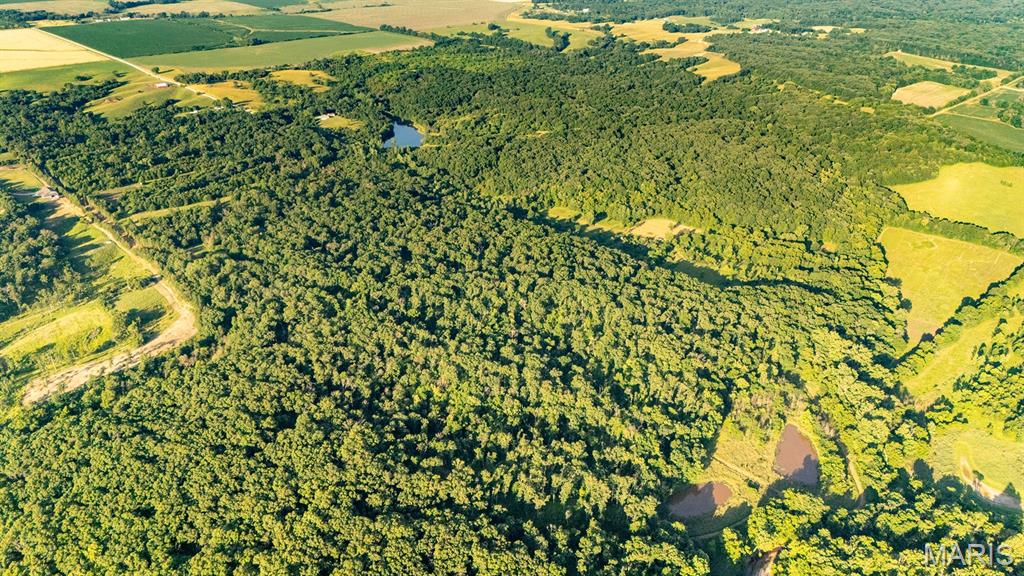 Welcome to 160.18+/- acres located in Knox County, Missouri, historically known as one of the top Big Buck counties in Northern Missouri. This farm is loaded with great features, including hardwood-timbered ridges, cedar thickets, food plots, a cozy hunting cabin, and more. Years of trail camera history prove the quality whitetail hunting this farm provides, as well as a strong turkey population. On the North end of the farm, you can find a unique income-producing WRP contract expiring in 2034, giving the new owner the option to opt in/out for years to come, unlike typical WRP contracts.
