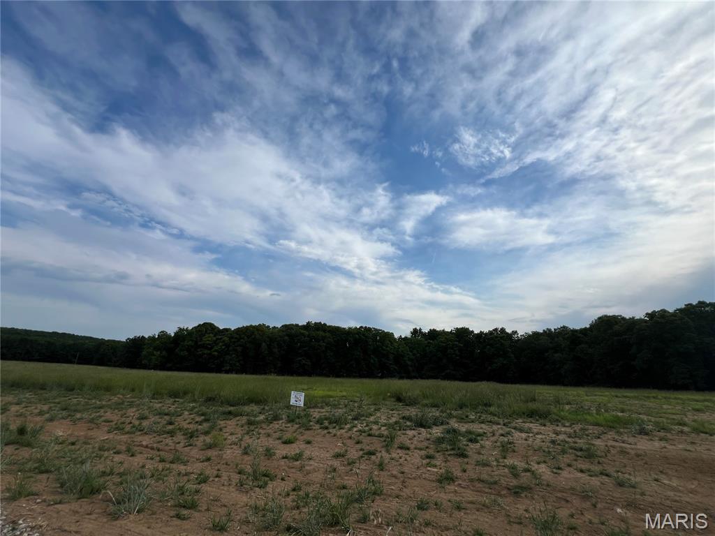 The Preserve at Holt Farms - Land