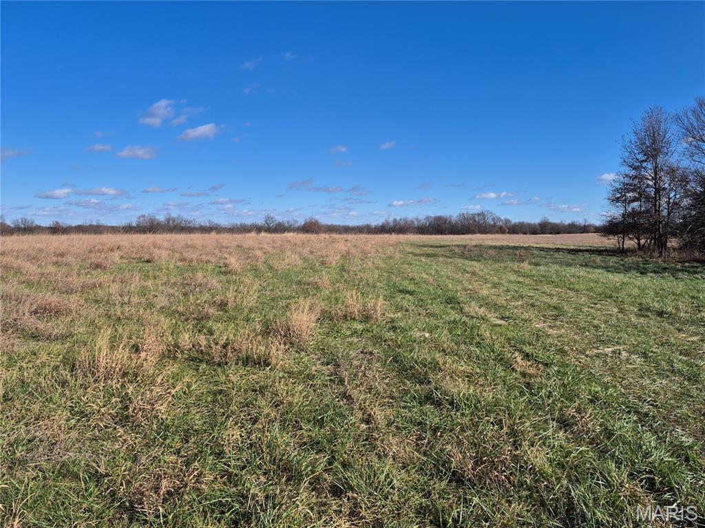 An exceptional 11+/- acre property in Callaway County offering the perfect blend of recreation and residential potential. This versatile mini farm features gently rolling terrain with an ideal mix of approximately 80% open pasture and 20% timber. The acreage is currently in pasture and can be seamlessly transitioned into row crop production. Property includes a small pond, enhancing both its beauty and usability. Electric is available, and multiple excellent building sites provide the opportunity to create your own private retreat. Abundant wildlife, including deer and turkey, makes this a great hunting property. Additional acreage is also available. Taxes are currently calculated on the larger parcel and will be prorated based on the acreage purchased.