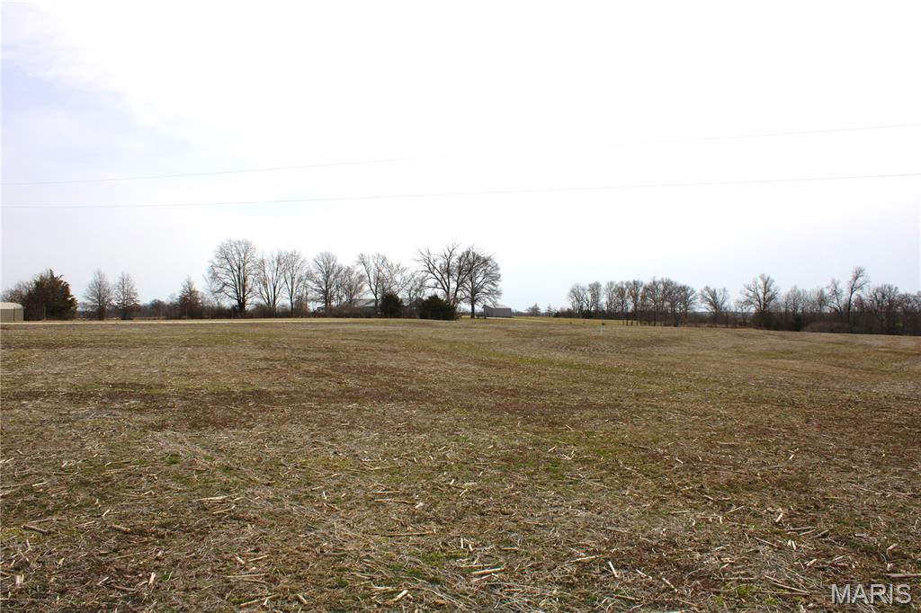 5 to be surveyed acres located right outside of Paris, MO. The 5 acres consists of mostly open ground with a wooded draw that runs towards the back of the property. A very nice blank canvas ready for you to make it your own.  The property is located just minutes from Paris, The Paris Schools, and about a 10min drive to the Mark Twain Lake! Water and Electric are both available. More land could be purchased if a buyer wanted, up to a total of 11 acres.