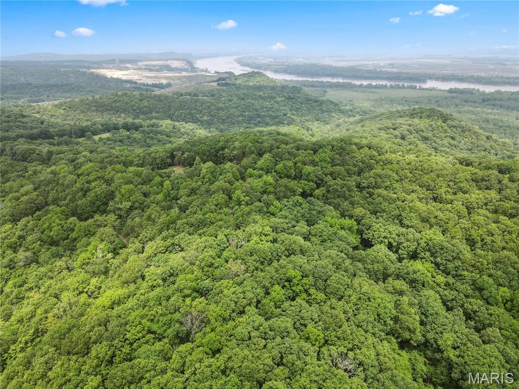 Words can't describe the beauty of this 6+ acres of ground with a view of the Mississippi River Valley and US Fish and Wildlife land from the back of your future building spot.  Beautiful lush meadow to build your dream home on.  This area features large acreage lots with custom homes.   Bring your side by side or golf cart, or take a leisurely walk in the 2+ miles of roads throughout the neighborhood.  Minimum square footage is 2500 on main level for a ranch style home, three car side entry garage is required.  Lot may not be subdivided to keep the number of homes to a minimum on this 300+ acre neighborhood.  Protect your home value and build your dream home today.  Bring your own builder or inquire for pricing for your plan.