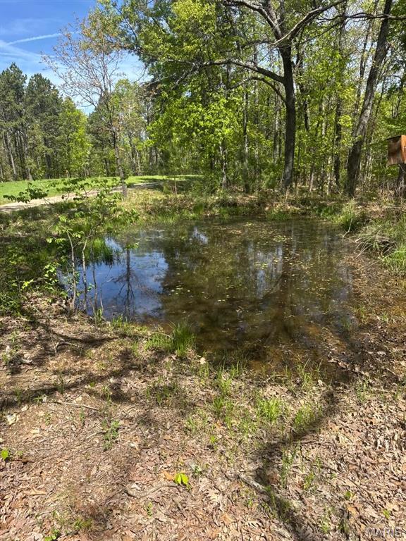 32.43 Acres (+/-) with a small pond. Great recreational property with a nice drivable trail. All wooded with some pine trees. Located just outside of Potosi. Great weekend getaway destination. Park like setting! Identified as sale tract #2 (see sketch in supplements). Call for more info or to set up your viewing. NOTE: Sellers are currently working with Ameren to have electric run along road. NOTE: A parcel ID & tax amount will be determined by Assessor after closing. A 911 address will be assigned (if requested) after closing.