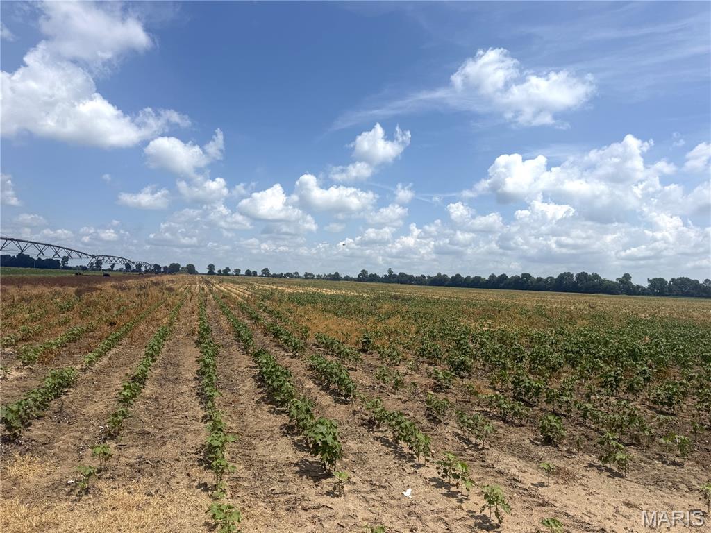 Productive Row Crop Farm – Dunklin County, Missouri  
A solid opportunity to expand your agricultural portfolio.

This property consists of 40 tillable acres of fertile, high-quality row-crop ground, currently planted in non-irrigated cotton. The soil and location make it well-suited for continued cotton production or a rotation of other profitable crops.

Whether you’re looking to grow your existing operation or secure a dependable investment, this tract offers consistent productivity and long-term potential.

A straightforward, income-producing farm in the heart of Dunklin County.

Sec: 27 Twp: 18 Rge: 9 Partial# 15-08.0-27-000-000-15.000000
Located on County Road 532, just off of Hwy Y.