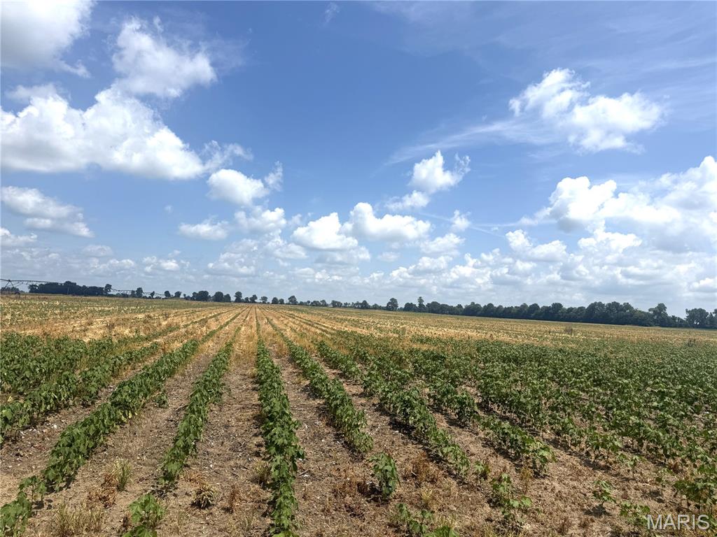 N/A - Farm