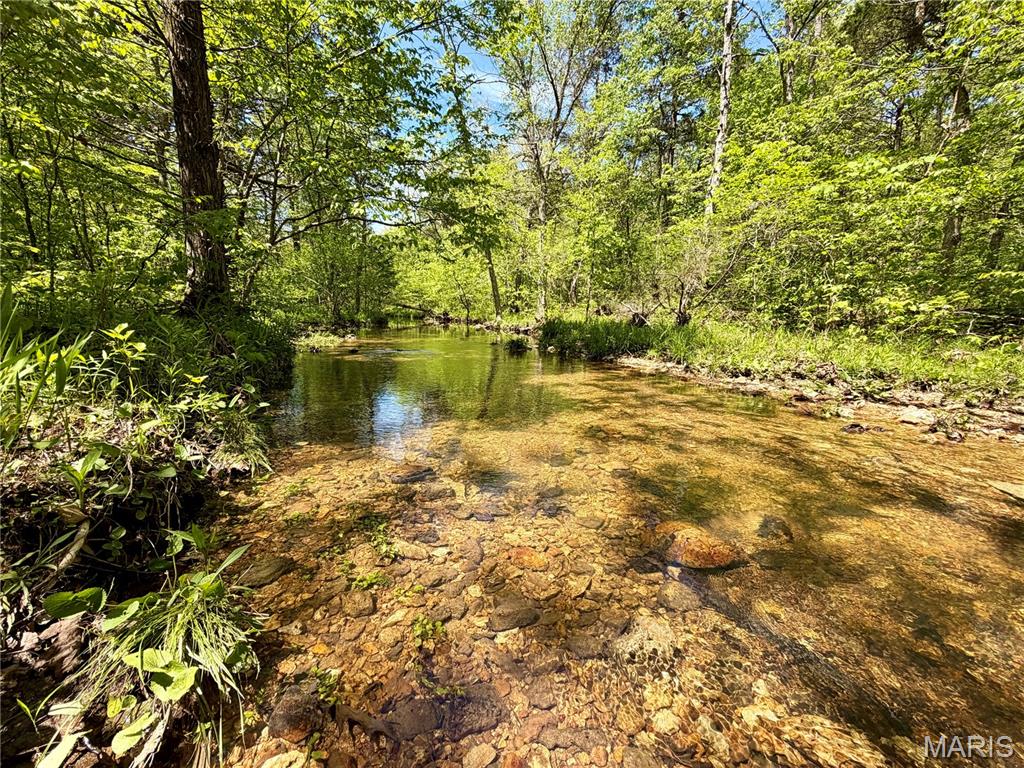 Rare 24+/- Unrestricted Acres with Flat Creek Frontage!
Discover the ultimate canvas for your outdoor dreams in beautiful Washington County. Perfectly situated between Potosi and historic Caledonia, this breathtaking 24+/- acre parcel offers the total freedom of no restrictions. This isn't just raw land; it’s a water-rich oasis featuring approximately 1000’ of spring-fed Flat Creek. The creek is clear, gentle, and perfect for family recreation. The property comes ready for adventure or development with an established trail system winding through the acreage—ideal for UTVs or hiking. Adventure is at your doorstep with Elephant Rocks State Park, Johnson’s Shut-Ins, and the Mark Twain National Forest all just a short drive away. Whether you're looking for a premier hunting tract, a weekend getaway, or a permanent residence with live water, this property delivers. Looking for even more room? Additional acreage is available! Schedule your tour today and experience this Ozark gem in person.