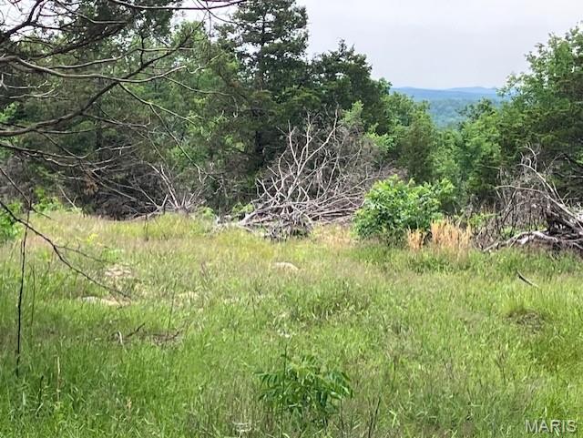 On the top of the ridge with a nice deeded gravel road access and a great view.
 This 20 acre ridgetop oasis comes with NO restrictions, and can be had for less than the price of a new truck or SUV. 
Hunt, camp, build, ride ATVs on your own land, or fish or play in nearby creeks ... endless opportunities.
This property is wooded and rolling. You are within a mile of the 22,176-acre Mark Twain National Forest ... public ground where you can also hunt, ride and explore. All this, and only about 2 miles by road from U.S. 67.
Use this wooded, secluded property as a base camp for adventure or build your forever home and live out your days in secluded bliss. This and surrounding land is teeming with deer, turkey and small game, and the occasional feral hog or maybe a black bear.
There is additional acres available which adjoin this piece if interested.