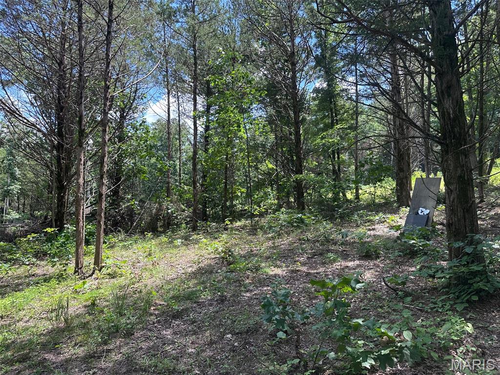 Brook Hollow - Land