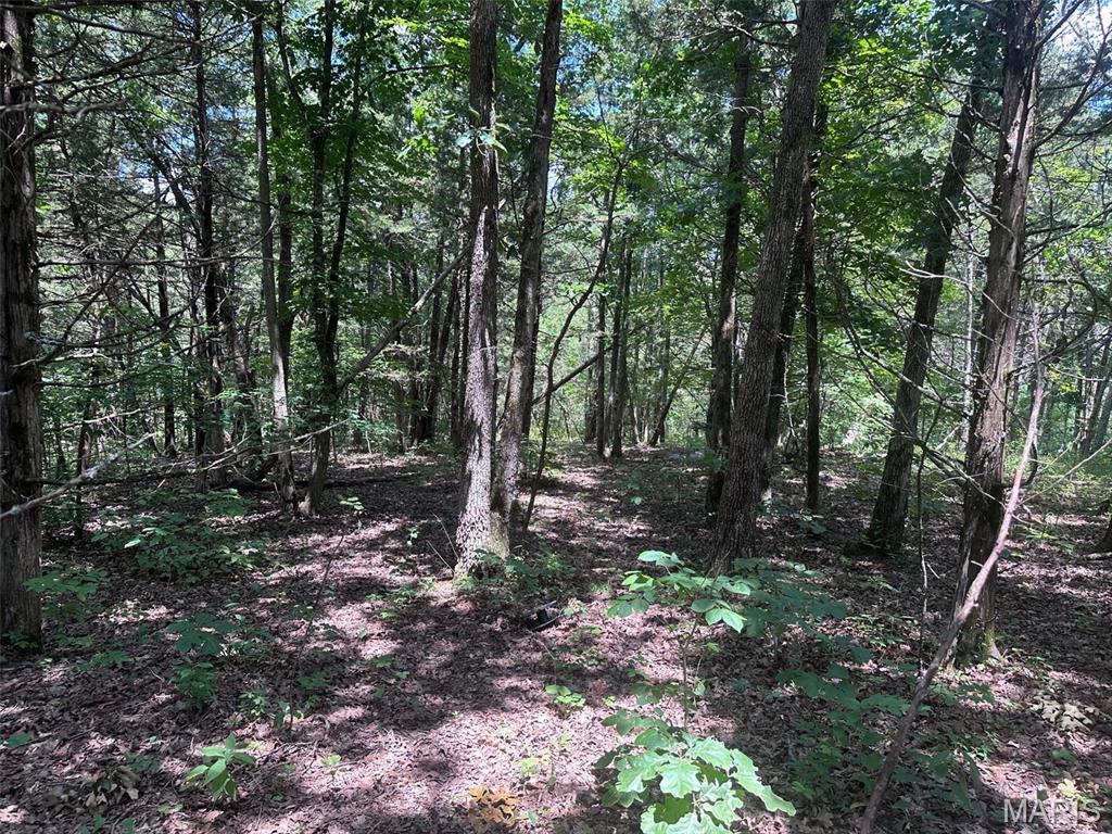 Brook Hollow - Land