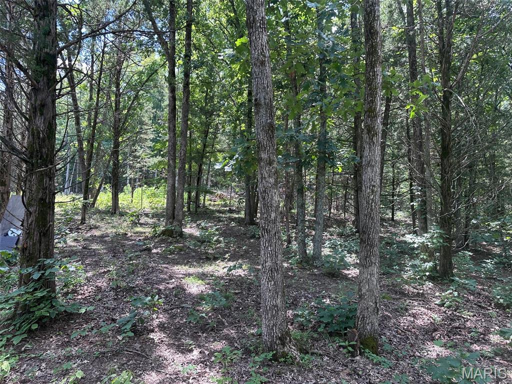Brook Hollow - Land