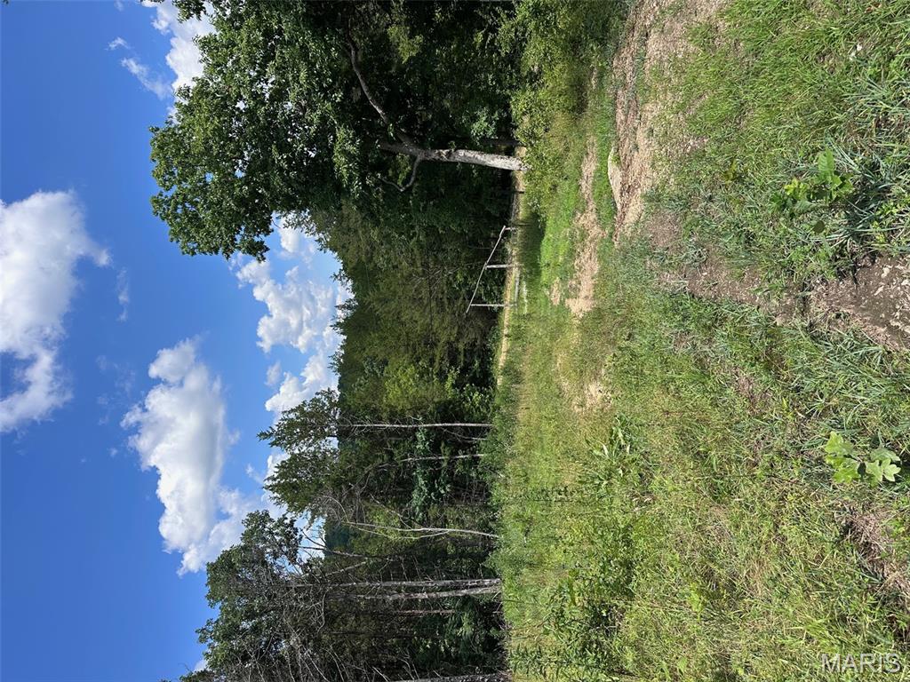 Brook Hollow - Land