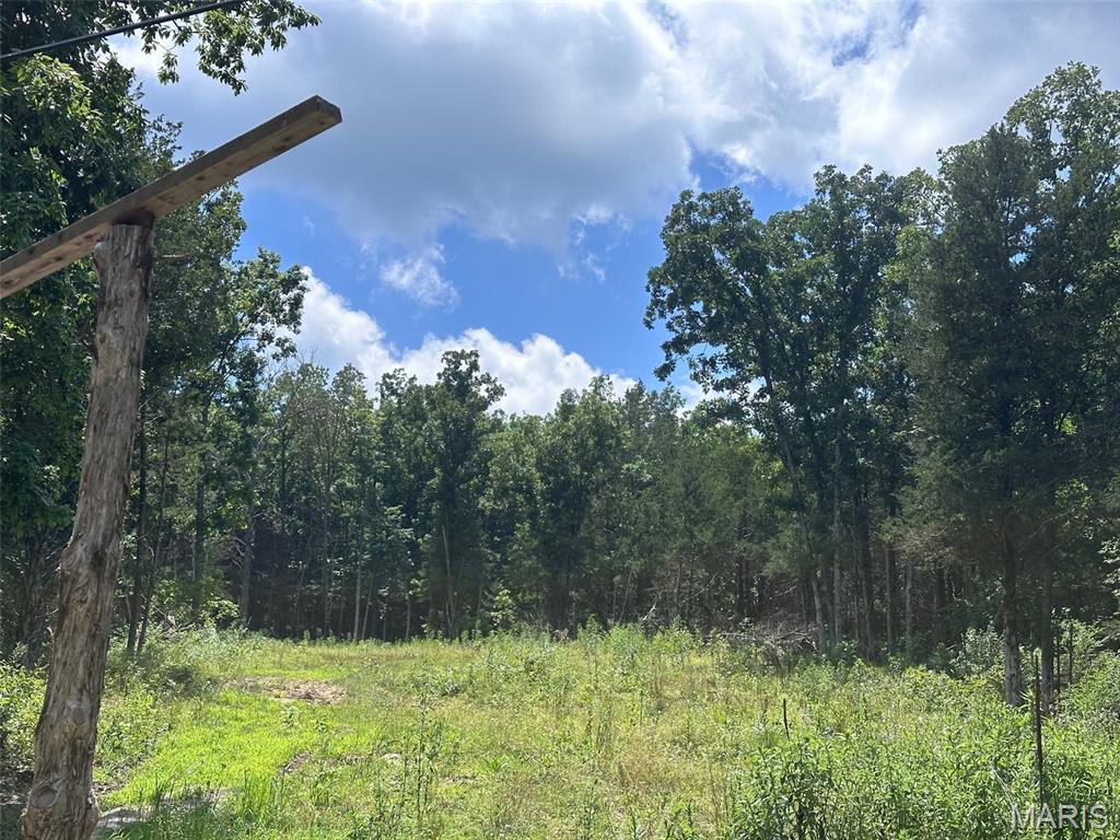 Brook Hollow - Land