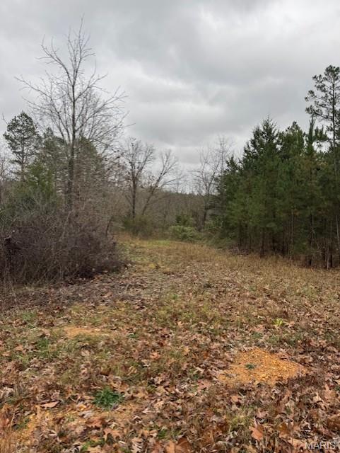 Satisfy your desire to call a piece of property yours with this affordable land located between Raymondville and Licking in Texas County.  Create your homestead here or just enjoy the serenity of the Ozarks on land you own.  Property has been recently surveyed as 12 acres m/l with county road frontage and a short distance from paved state highway.  Property has a mixture of cleared and wooded areas with a pond.  Location is near Current River and Montauk State Park about 10 miles to Houston, MO the county seat town.
