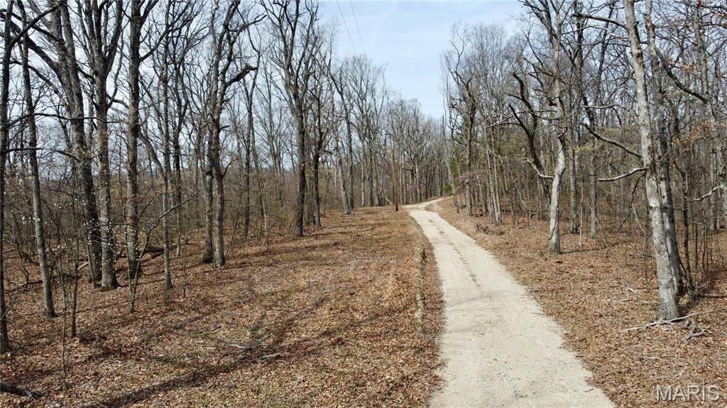 Here are 33.32 acres of secluded timber land with ability to build your home/cabin. Easement access from O. You will travel through two gates providing access to the north west corner of the property. There you will see a few solid build spots. This property has some timber value on it as well. For a smaller of a tract, there is a ton of great deer and turkey sign. Electric is at the road. Well and septic would be required. Additional land can be purchased. Contact agent for more details.