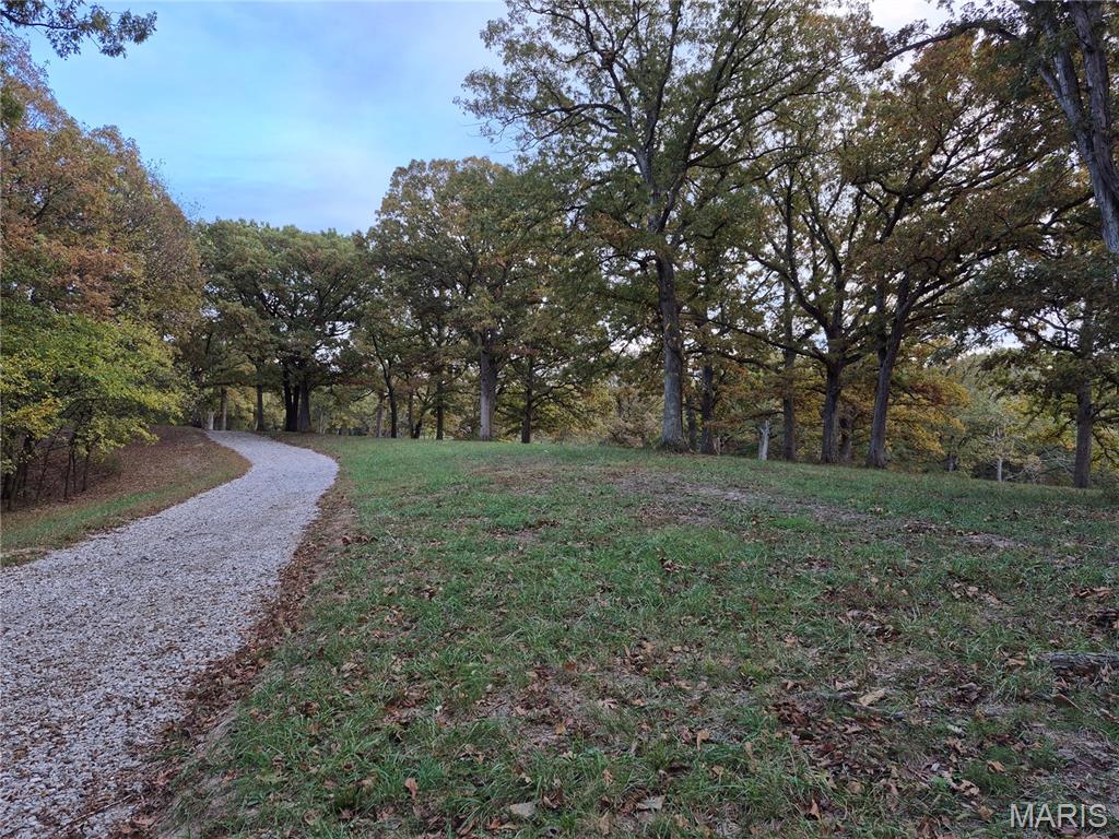 Experience the ideal balance of privacy, natural beauty, and modern convenience with this exceptional 10.9+/- acre property. Equipped with underground electric and water, this stunning tract features mature trees and breathtaking panoramic views—creating the perfect backdrop for your dream home or private getaway. 
Thoughtful deed restrictions protect your investment and the surrounding landscape, requiring a minimum 1,200-square-foot site-built home while prohibiting mobile or modular homes, hog confinement buildings, junkyards, race tracks, and unnecessary logging beyond clearing a homesite. These standards help preserve the property’s beauty, tranquility, and long-term value. Nature lovers and outdoor enthusiasts will appreciate the abundant wildlife, including turkey and trophy-class whitetail bucks—offering both recreation and relaxation right outside your door. Rarely does a property combine scenic views, utilities in place, and protective covenants so seamlessly. Additional acreage is available. Agent owned.