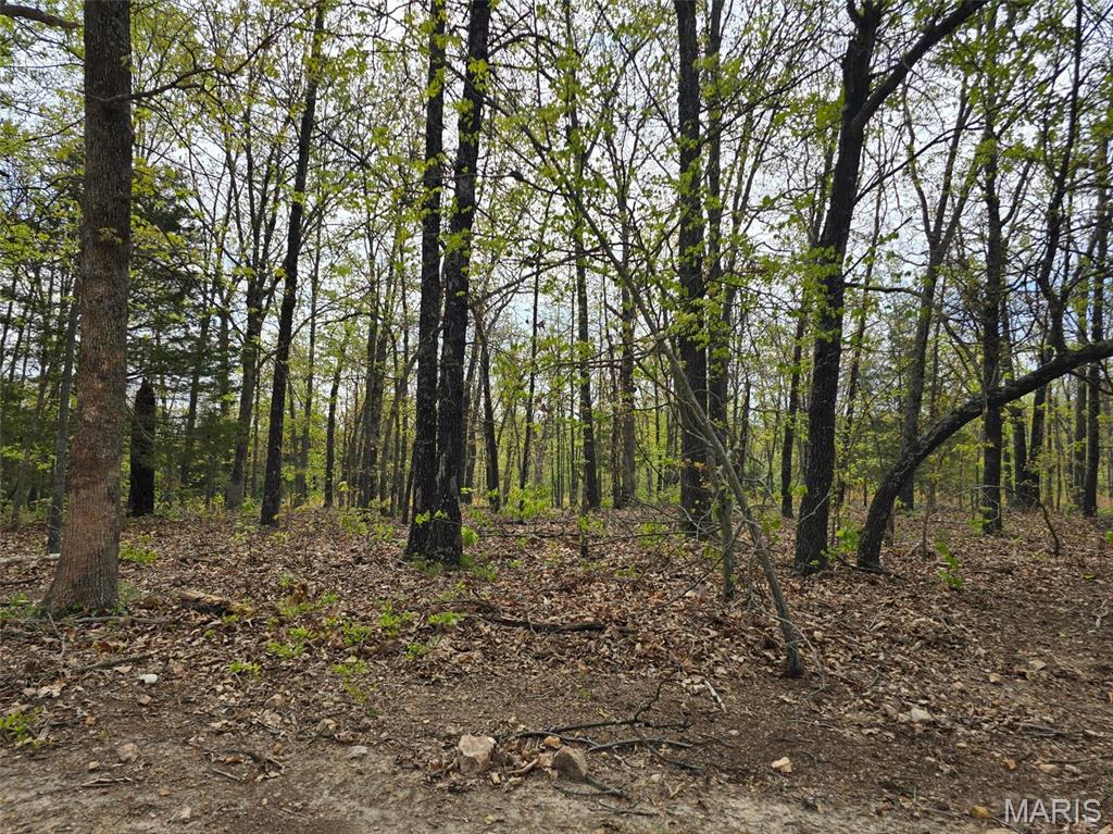 Underground power is available! It has been installed to the lots that have sold but not installed at this lot yet. The owner would consider cost sharing to get it to your lot. This 6.1-acre corner lot is predominantly flat and wooded, boasting mature trees without restrictions. It is part of a larger parcel that has been subdivided. The tracts are situated at the end of a dead-end road, offering seclusion. Bennett Springs trout hatchery and state park are just a short drive away. The region provides ample public access land for outdoor enthusiasts. This private location is ideal for a homesite, bed and breakfast cabins, or other creative investment opportunities.