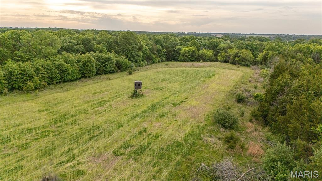 This 46-acre farm offers an excellent combination of recreation, hunting, and future building potential with a proven history of quality deer and turkey hunting. Located in an area known for producing mature bucks, the farm has been carefully managed to create outstanding wildlife habitat and consistent hunting opportunities.

The property includes a new Banks blind and a ladder stand, both strategically positioned and ready for use. Adding to the hunting appeal, the north-facing neighboring property serves as a sanctuary with no hunting pressure, supporting strong wildlife movement and mature deer activity throughout the area.

Approximately 2 acres of established food plots further enhance the habitat and provide dependable hunting locations. The property also offers hay income potential, providing an additional source of return while maintaining the farm’s open, attractive appearance.
Several excellent building sites provide the opportunity to build a future home, hunting cabin, or weekend getaway overlooking the beautiful countryside. A storage shed is already in place for equipment, tools, and hunting gear.

Whether you are looking for a turn-key hunting setup, a recreational retreat, or a scenic property with income potential, this farm is well worth a look.